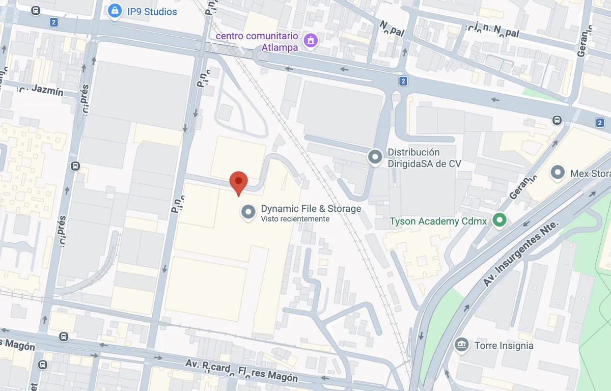 Mapa de la ubicación de Dynamic File & Storage en Calle Pino 343, CDMX